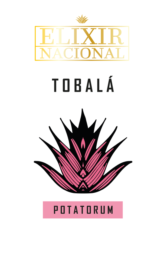 MEZCAL TOBALA 250 ML. 45 % Alc. Vol.